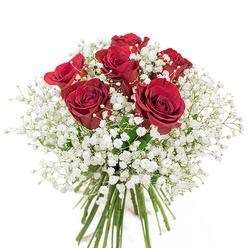 Captured in a serene, whitewashed setting, this exquisite bouquet is a study in contrast and harmony-six deep red roses, each velvety bloom nearing its glorious peak, rise at the heart of the arrangement. Their rich, passionate hue is heightened by an encircling cloud of delicate gypsophila, the baby's breath forming a soft drift of countless tiny white blossoms, light as morning fog rolling over Bow's historic streets. The careful balance between the dramatic ruby reds and the understated snowy whites invites the eye to linger, much like the gentle energy of community life along Grove Hall Park. The green stems at the bouquet's base, fresh and meticulously gathered, hint at the care and expertise of the local florist's hand. This is a bouquet that feels both classic and immediate-the kind offered for a heartfelt apology delivered on a doorstep near Tredegar Road or a quiet celebration at a local bistro. Touches of fragrance mingle in the still air, the subtle sweetness of roses deepening the gentle purity of the baby's breath. The fullness of the arrangement creates an impression of enveloping softness and abundant affection, its simplicity echoing the enduring charm of Bow's neighbourhoods. Intended as an expression of sincere emotion-whether love, gratitude, or remembrance-this bouquet stands as a timeless testament to the artistry and attentiveness found in Bow's beloved flower shops.